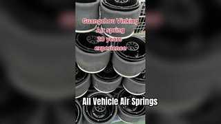 모든 종류의 공기 스프링을 위한 공기 스프링 제조자